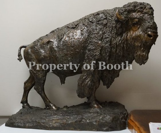 © Henry Merwin Shrady, Buffalo (Monarch of the Plains?), 1901, sculpture, 23 x 27 x 13″, Gift of Jennifer Martin Rowland