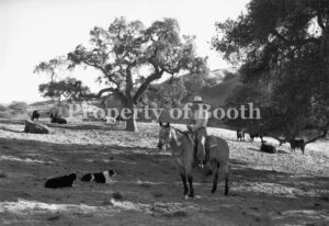 © Jay Dusard, Justin Fields, Fields Cattle Co., California, 2002, Pigment Print, 38.1875" x 56.5", PH2018.005.016, The Jay Dusard Collection at the Booth Western Art Museum