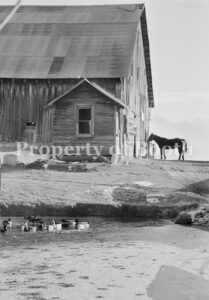 © Barbara Van Cleve, Guenzler Ranch Scene [Sarah Guenzler, Montana], 2000, Pigment Print, 20" x 13.5", PH2018.007.024, Museum Purchase