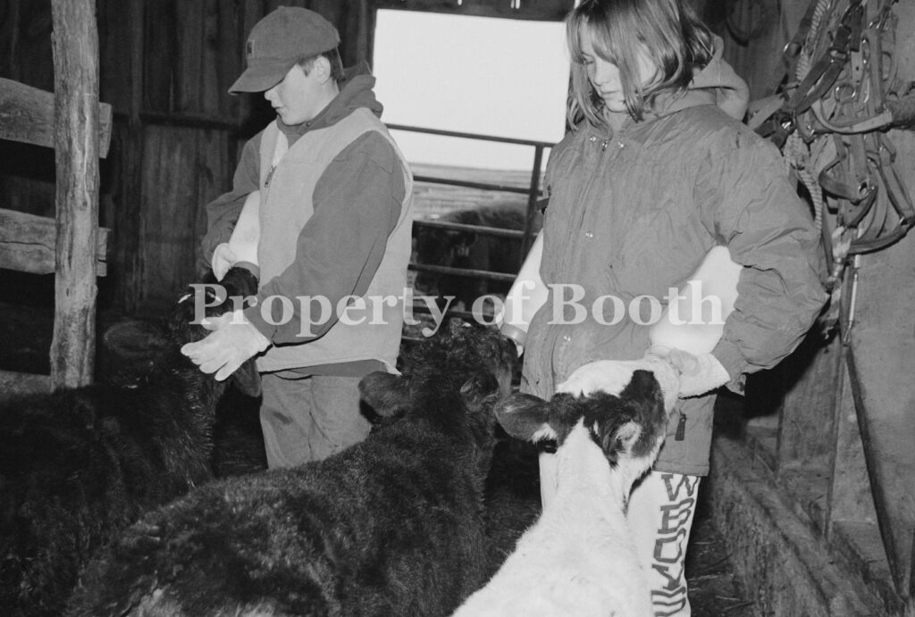 © Barbara Van Cleve, Levi and Sarah Bottle Feed Calves [Sarah Guenzler, Montana], 2000, Pigment Print, 13.5" x 20", PH2018.007.038, Museum Purchase