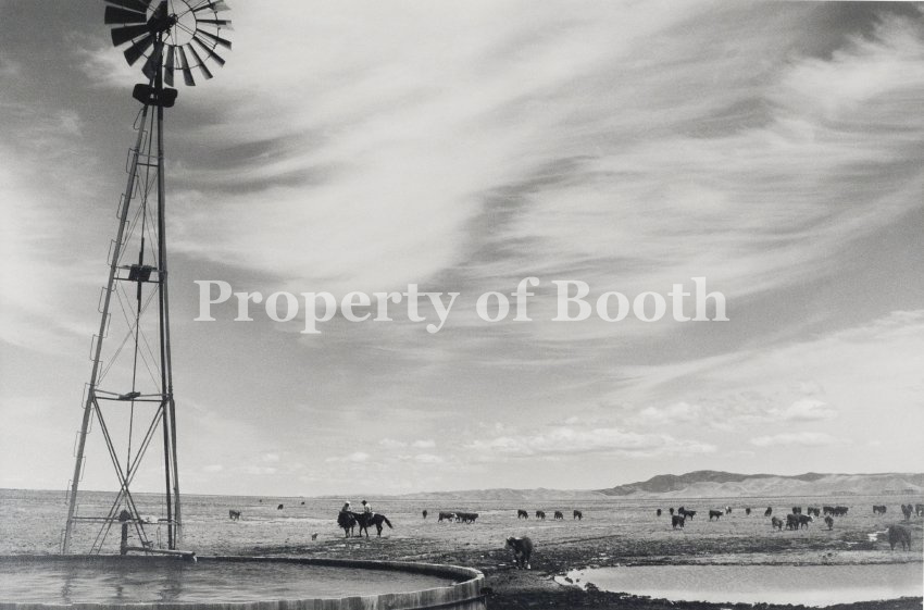 © Barbara Van Cleve, Farr Cattle Company, 1988, Pigment Print, 12.6" x 19", PH2019.001.028, Museum Purchase