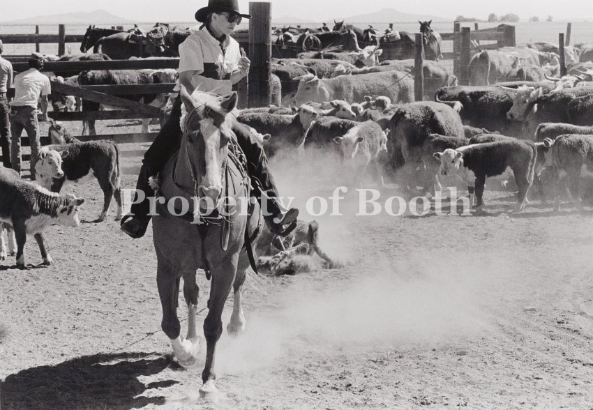 © Barbara Van Cleve, Mary Bailey Davis, Spring Branding a Fine Two Legged Loop, CS Ranch, Cimarron, NM, 1986, Pigment Print, 13" x 19", PH2019.001.032, Museum Purchase