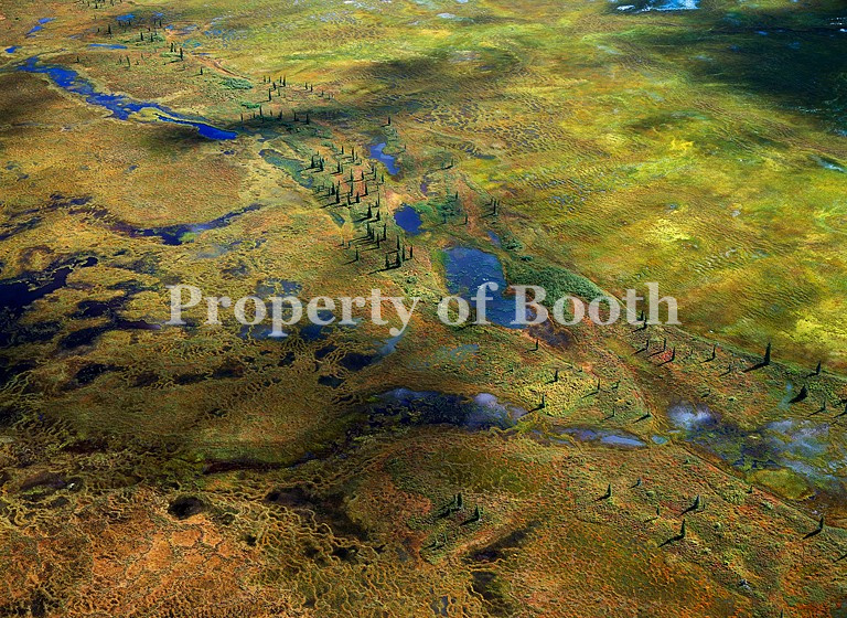 © Robert Glenn Ketchum, Saturated Tundra, 1999, Fujicolor Crystal Archive, 47.75" x 65", PH2019.004.001, Gift of Robert Glenn Ketchum