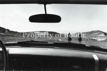 © Eliott Erwitt, Wyoming [Two Horses Seen Through Car Windshield], 1954, Silver Gelatin Print , 11" x 14", PH2019.007.002, Museum Purchase