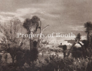© Paul Strand, Near Saltillo, 1932, Photogravure, 6" x 7", PH2020.001.001.001, Museum Purchase