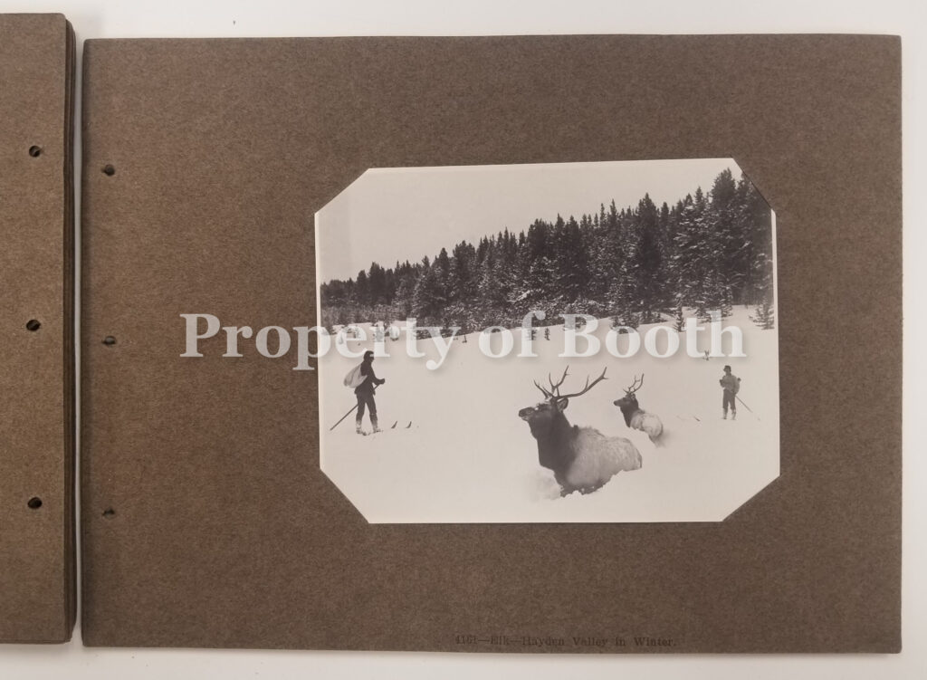 © Frank Jay Haynes, 4161 - Elk-Hayden Valley in Winter, 1883, Silver Print, 3.5" x 4.5", PH2020.006.005a.033, Museum Purchase
