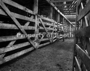 © Kenny Rogers, Rogers Cattle Barn, Athens, GA , 1985, Pigment Print, 24" x 38", Gift of the Kenny Rogers Estate
