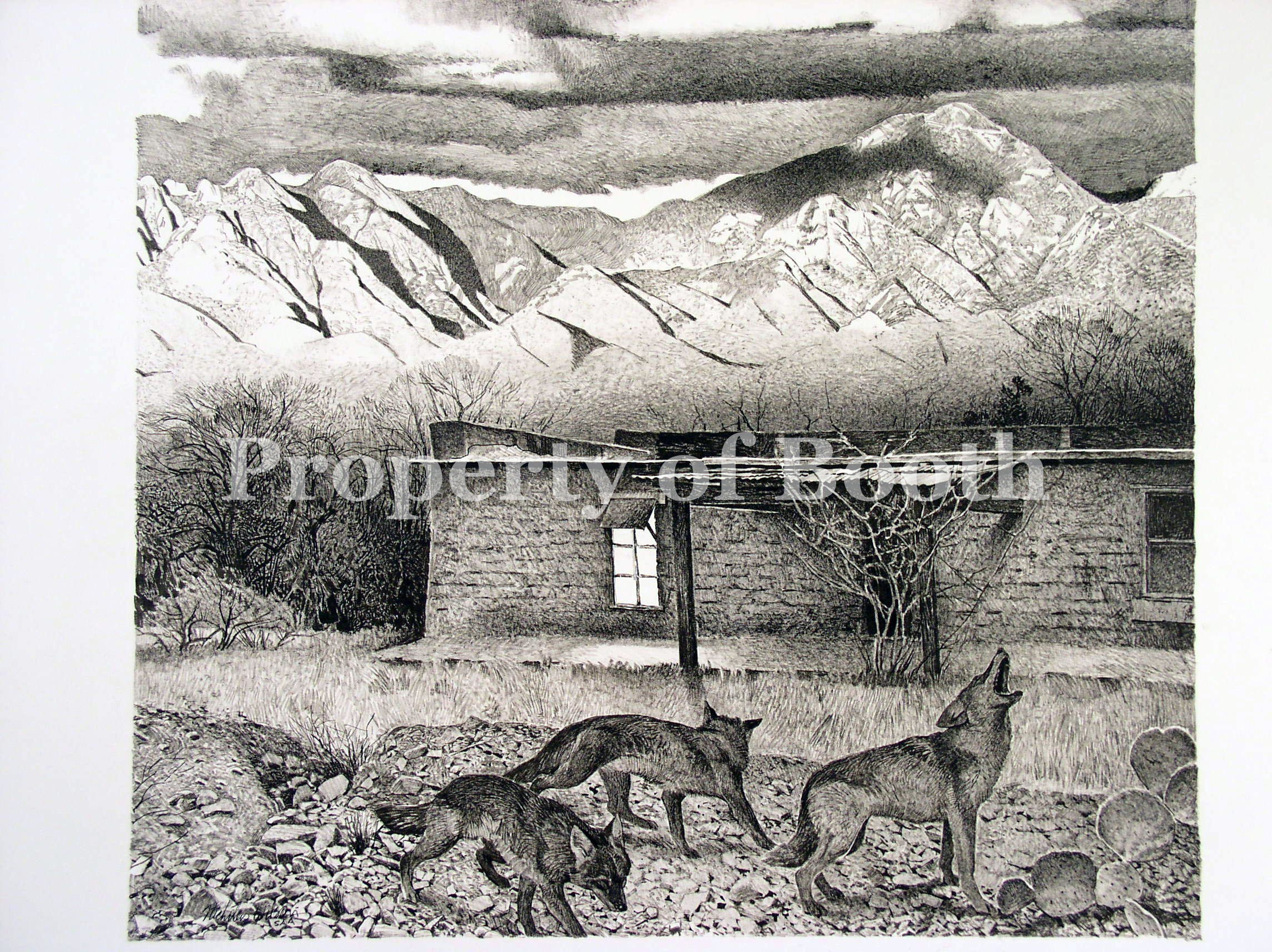 © Nicholas Wilson, Home of the Desert Rat (Preliminary brush and ink sketch), n.d., ink on paper, 22.5 x 24.75"
