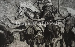 © Rox Corbett, A Golden Horse and Spotted Cattle, 2018, charcoal on paper, 16.25 x 25"