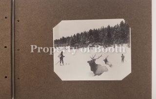 © Frank Jay Haynes, 4161 - Elk-Hayden Valley in Winter, 1883, Silver Print, 3.5 x 4.5".
