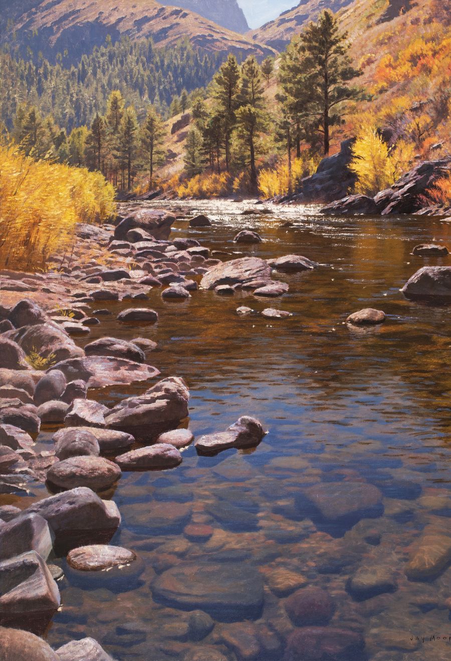 Front page images (5)