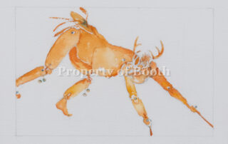 © Armond Lara, Study of Deer Dancer #17, 1999, iron oxide on paper, 7 x 10", Gift of Wells Real Estate Fund, Inc.