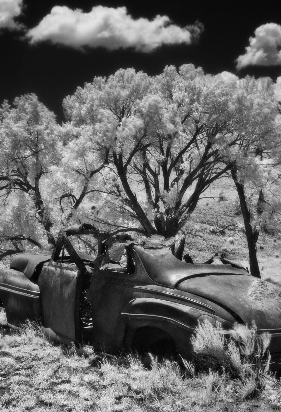 Cody Johnson for website